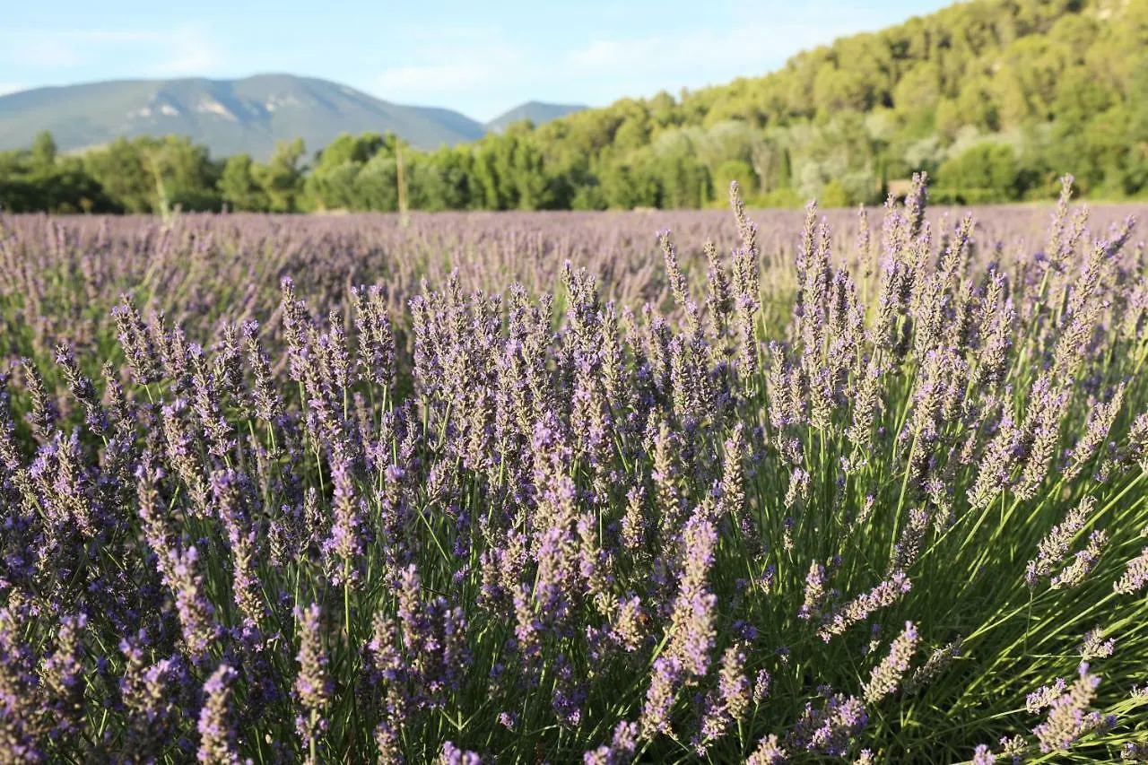 Camping Le Colorado Rustrel